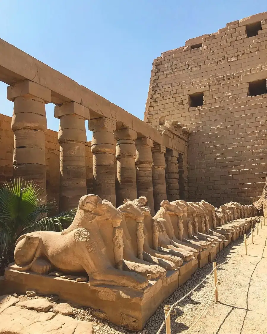 The Avenue of Sphinxes: Luxor's Restored Processional Road