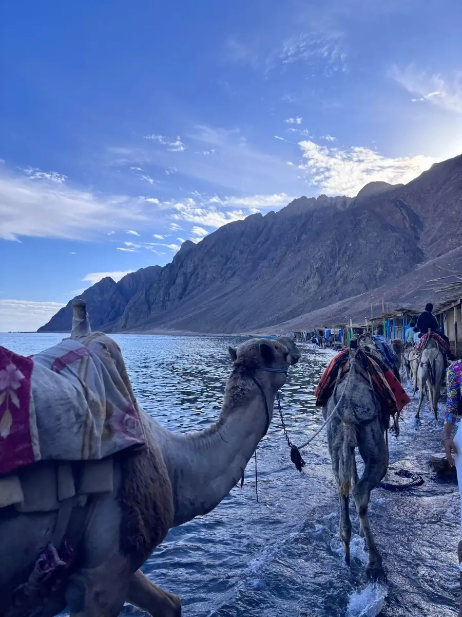 Sinai & St. Catherine Discovery