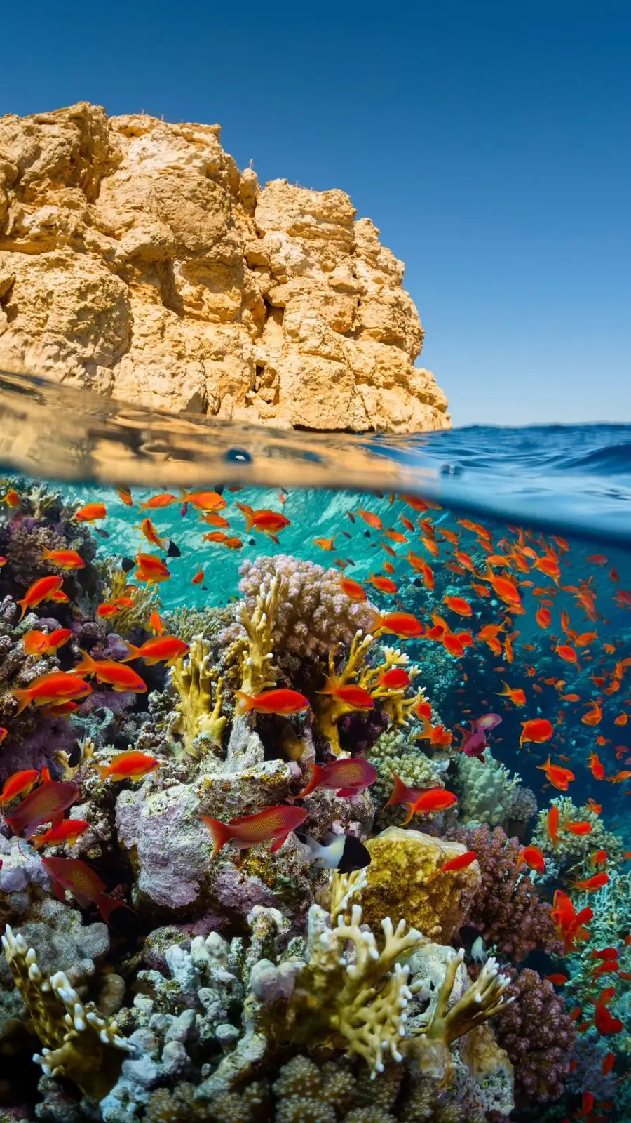 Visiting Egypt in Summer: Is It Too Hot?